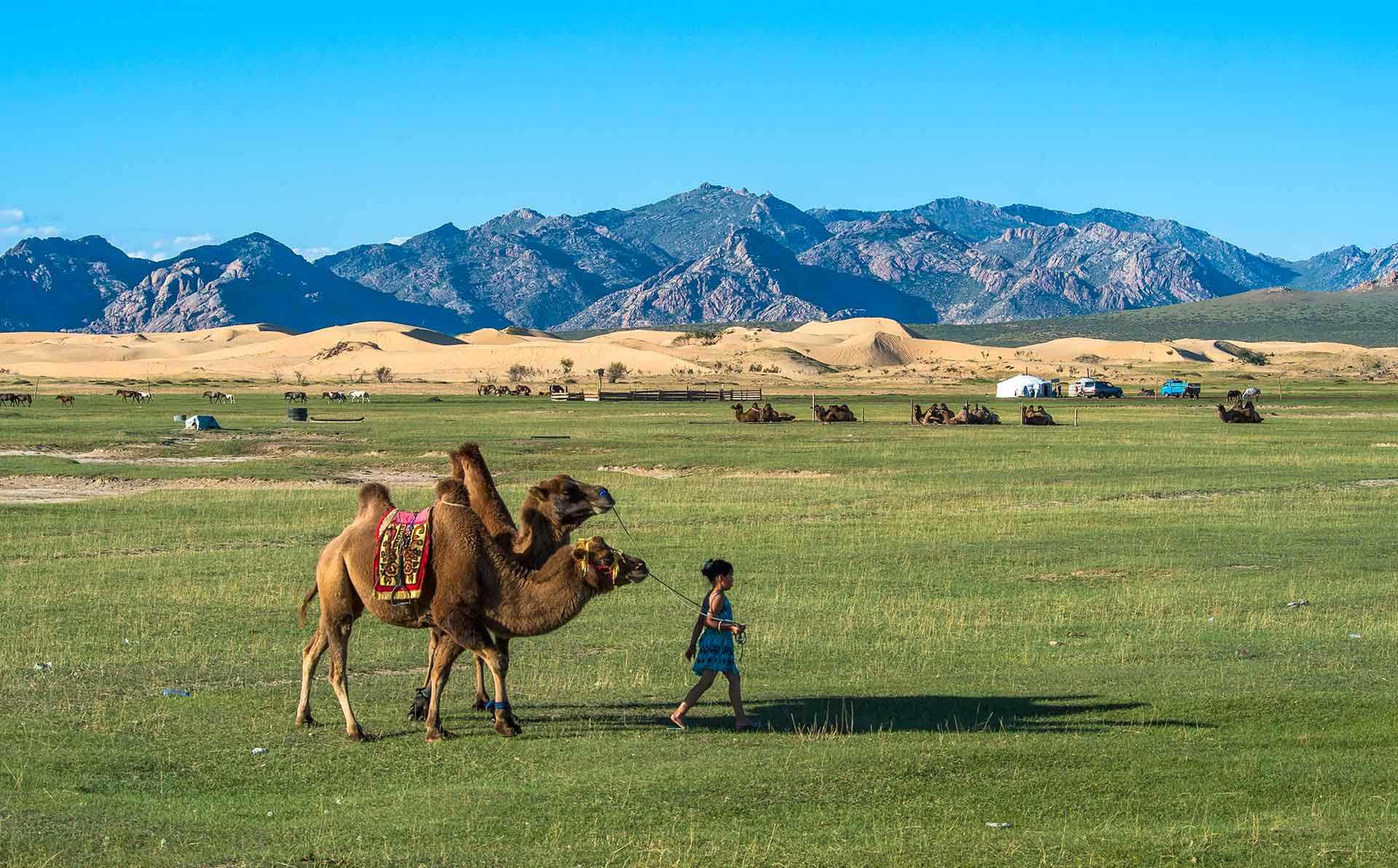 10 things to do in Mongolia